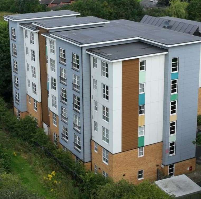 Inspection and Remediation for Fa&ccedil;ades Service